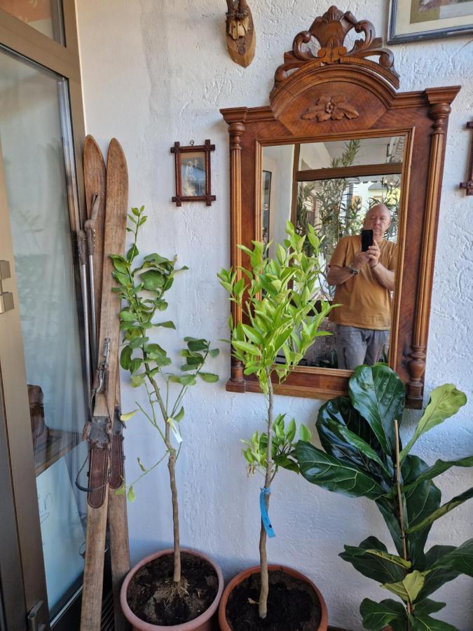 Appartements Pension Sonia Funes  Dış mekan fotoğraf
